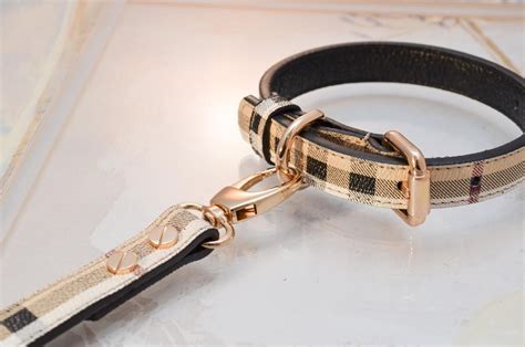 fashion dog collars and leashes.